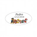 Pompiere pattuglia canina con lecca-lecca personalizzato da regalare