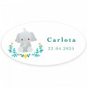Carta promemoria personalizzabile con lecca-lecca e adesivo ovale per dettagli battesimi unisex