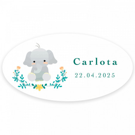 Carta promemoria personalizzabile con lecca-lecca e adesivo ovale per dettagli battesimi unisex