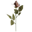 Rosa di cioccolato 18gr per dolci dettagli