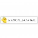 Adesivo Pokémon per personalizzare dettagli