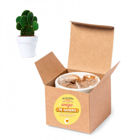 Vaso di terracotta con semi di cactus e adesivo di amicizia da regalare