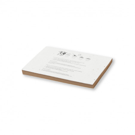 Blocco note eco con copertine di semi da piantare in una busta kraft personalizzata per dettagli di feste ed eventi