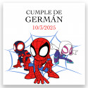 Adesivo spidey e il suo super team personalizzato ideale per feste infantili 5x5