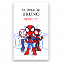 Adesivo di spidey e della sua super squadra 3x5cm personalizzabile