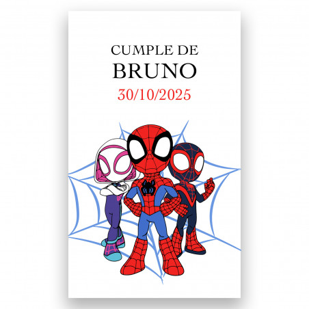 Adesivo spidey e super team 3x5 verticale per personalizzazione