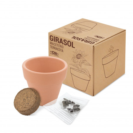 Vaso di terracotta semi
