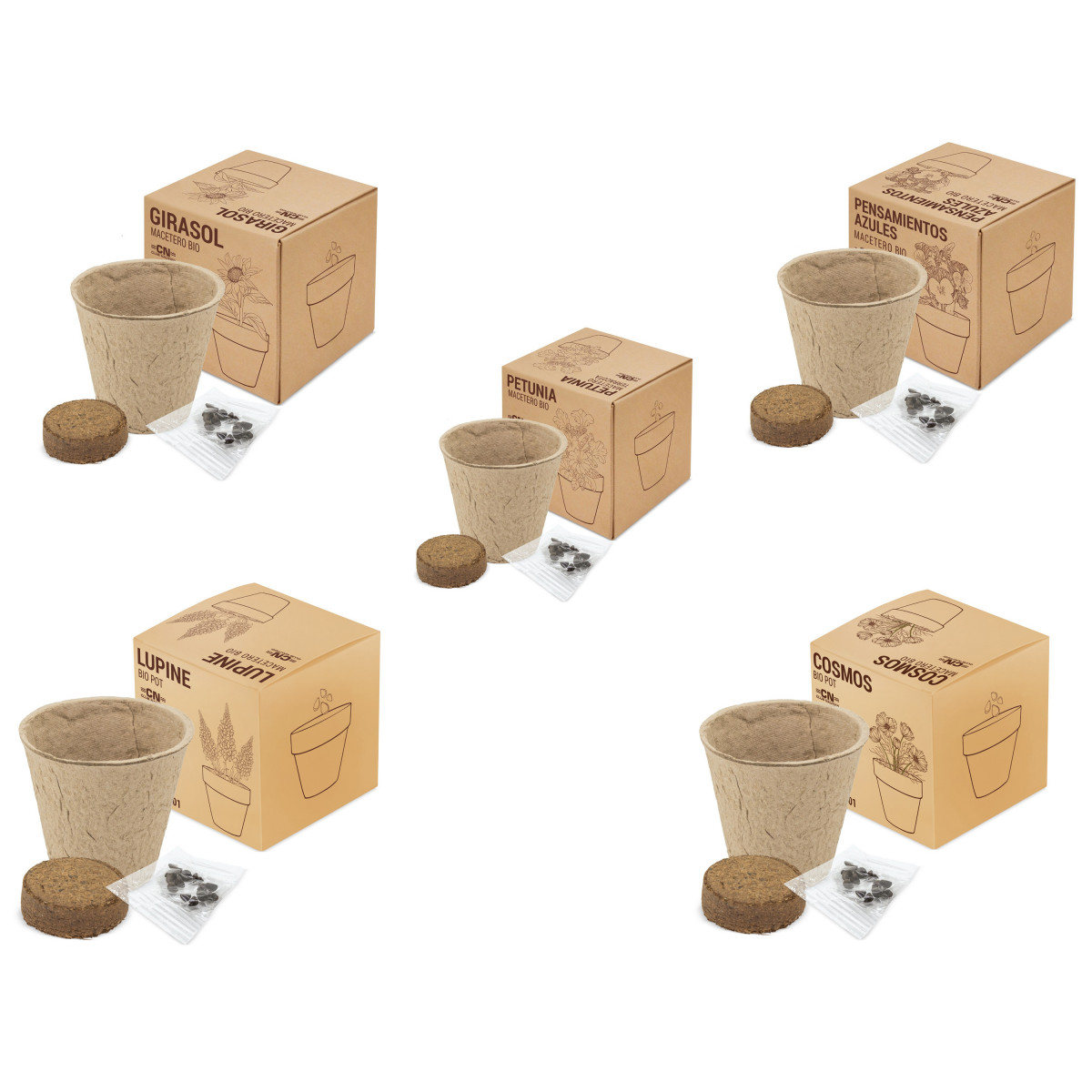Vaso bio semi