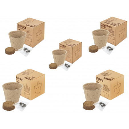 Vaso di semi biologici