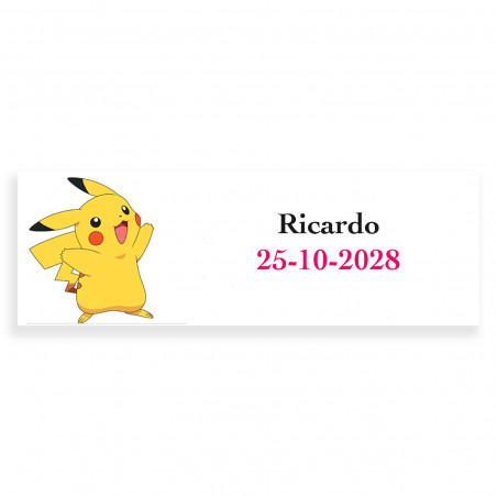 Pokemon etichetta rettangolare personalizzata 6x2cm