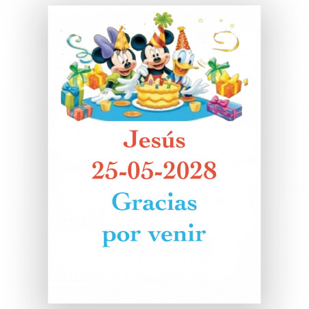 Disney, adesivo personalizzato 5x7cm