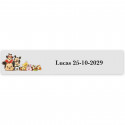 Bambini Disney, adesivi decorativi 5x1cm trasparenti