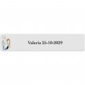 Frozen, etichetta adesiva personalizzata 5x1cm trasparente