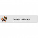 Harry Potter, adesivo tematico 5x1cm trasparente