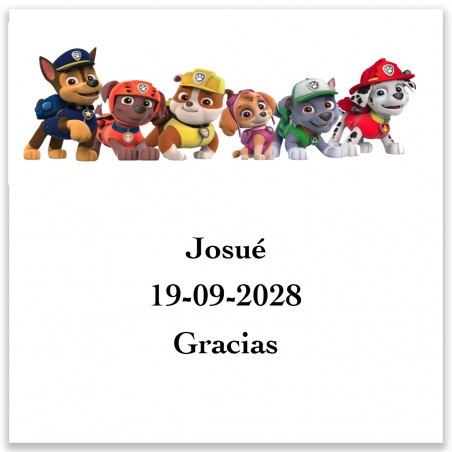 Adesivo personalizzato Patrulla Canina 5x5cm per decorazioni infantili