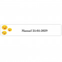 Emoji adesivo divertente personalizzato 5x1cm