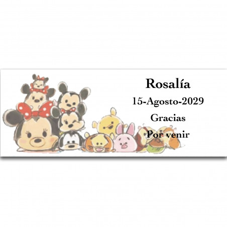 Pandilla di Disney, adesivo personalizzato con fondo bianco 13x5cm orizzontale