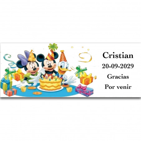 Adesivo Disney personalizzato per regali di eventi 13x5cm