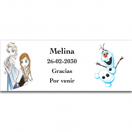 Adesivo personalizzato Frozen per ragazze 13x5cm