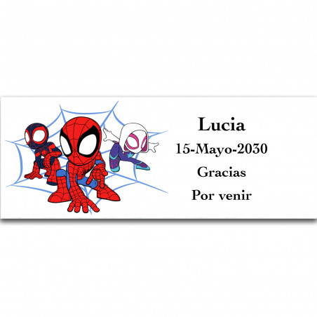 Spidey e il suo Superteam adesivo personalizzato audace 13x5cm