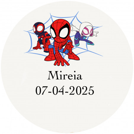 Spidey e il suo superteam adesivi personalizzati da 5 cm fondo trasparente