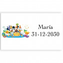 Adesivo personalizzato disney di 3x5 cm in orizzontale