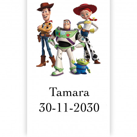 Toy story adesivo personalizzato 5x3cm nomi e data