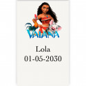 Vaiana moana adesivo personalizzato verticale trasparente di 3x5cm