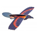 Ala delta di uccello