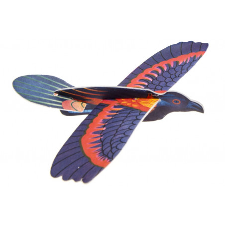 Ala delta di uccello