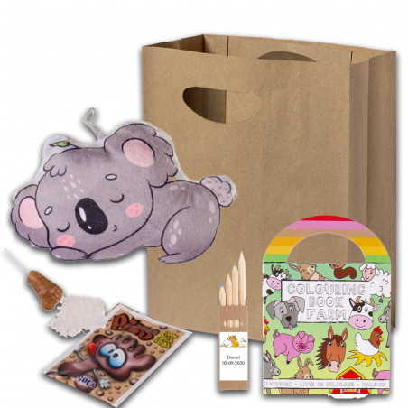 Disney pacchetto infantile personalizzato con peluche dolci e attività