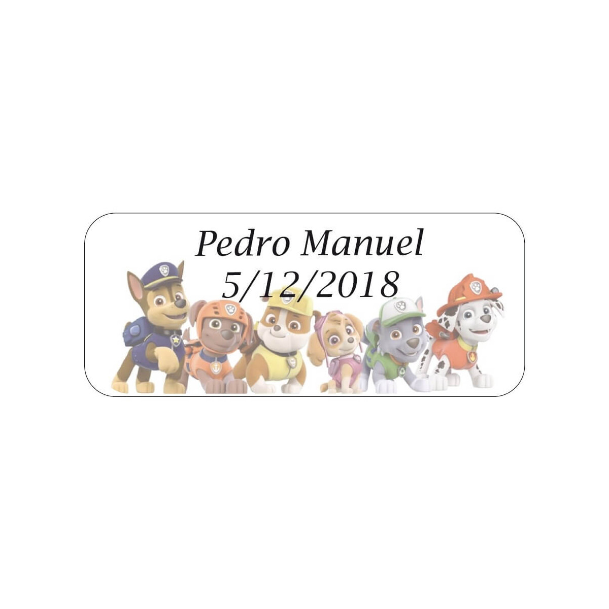 Adesivi della Paw Patrol