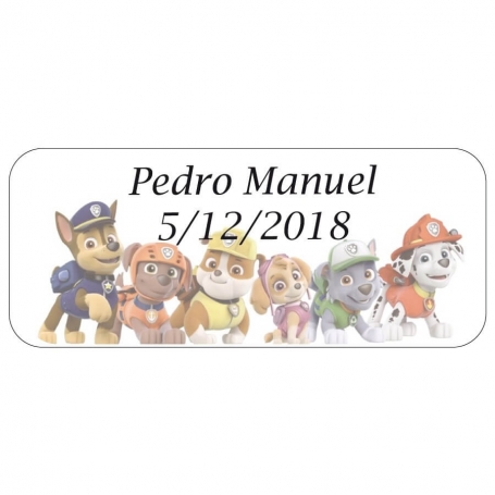 Adesivi della Paw Patrol