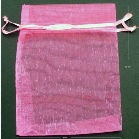Immagine con taccuino in busta di organza