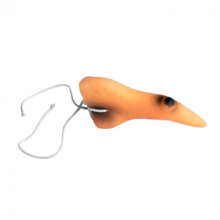 Witch s nose