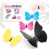 Negozio di farfalle originale a prezzi convenienti