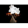 Regali e decorazioni con LED per matrimoni
